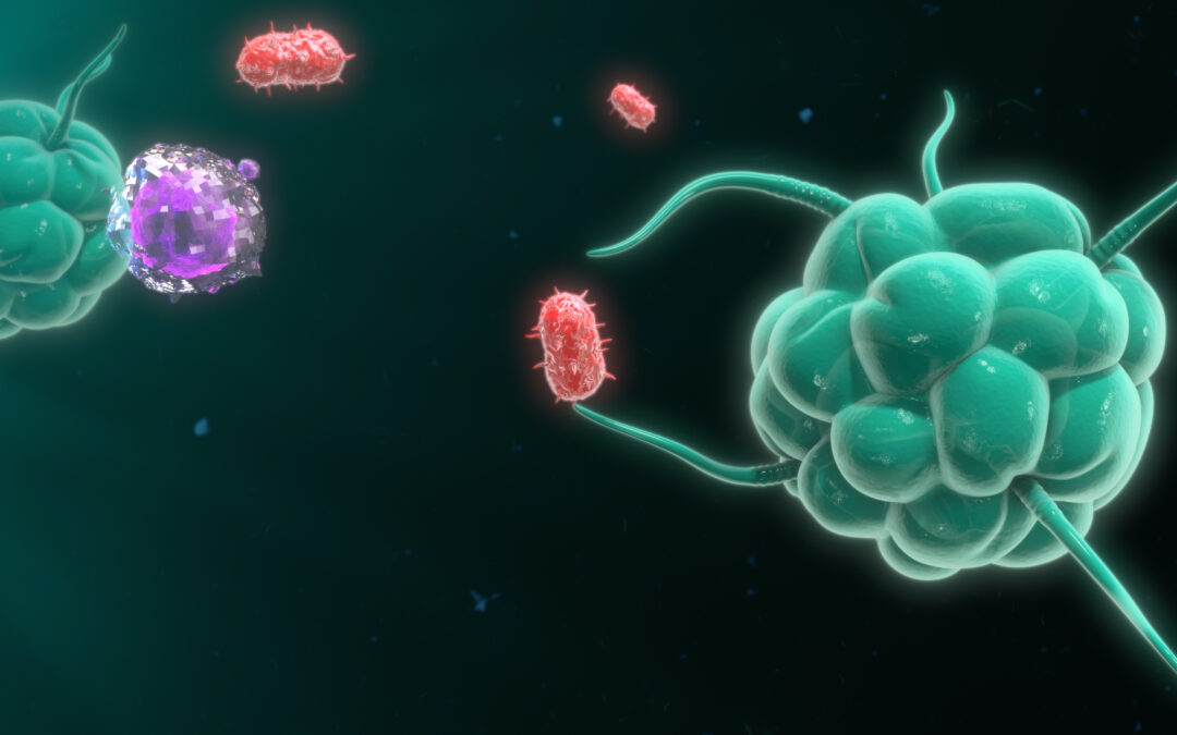 Macrophages and Microglia – Same but Different!