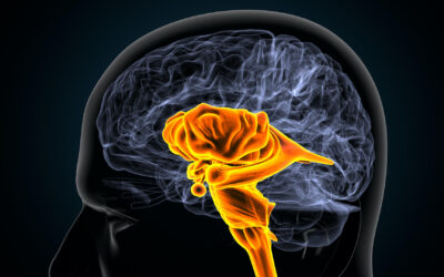 Dopaminergic Neurons in Parkinson’s Disease