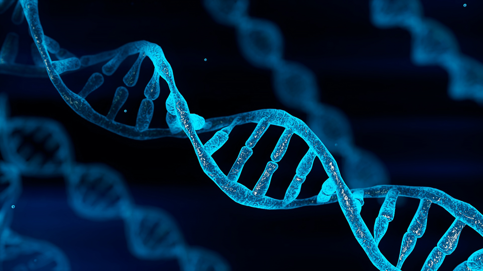 Genetic Variability in Humans - Why Does It Matter? - Tempo Bioscience