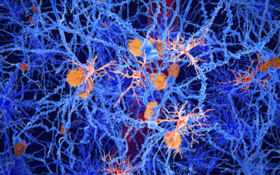 Microglia: key cells to understanding Alzheimer’s Disease