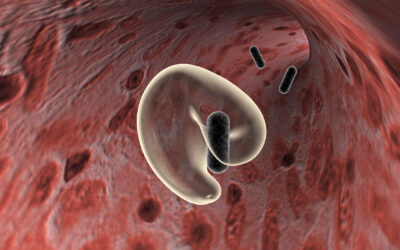 The Many Faces of Phagocytes