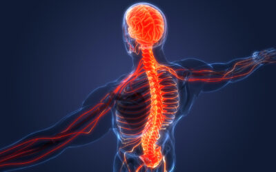 The Latest in Stem Cell Therapy Research for Spinal Cord Injury