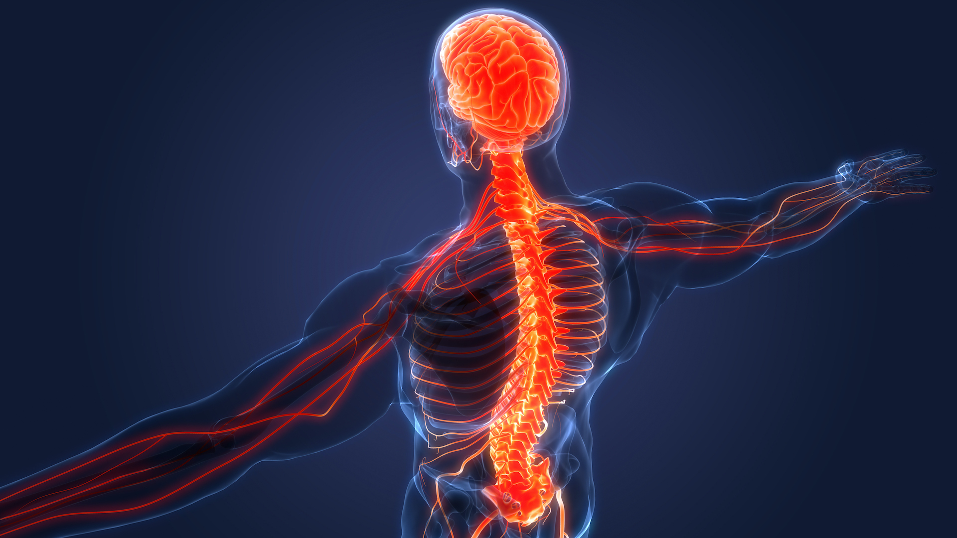 the-latest-in-stem-cell-therapy-research-for-spinal-cord-injury-tempo