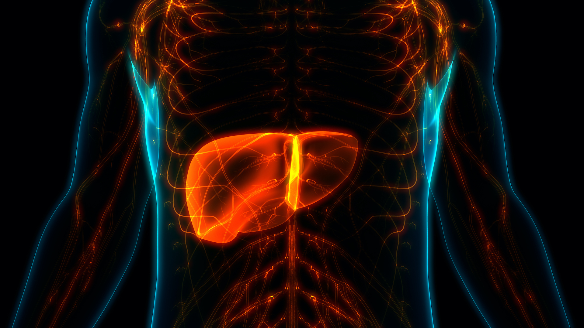 Tempo Bioscience Expands Human Liver Models for Toxicity Evaluation and ...